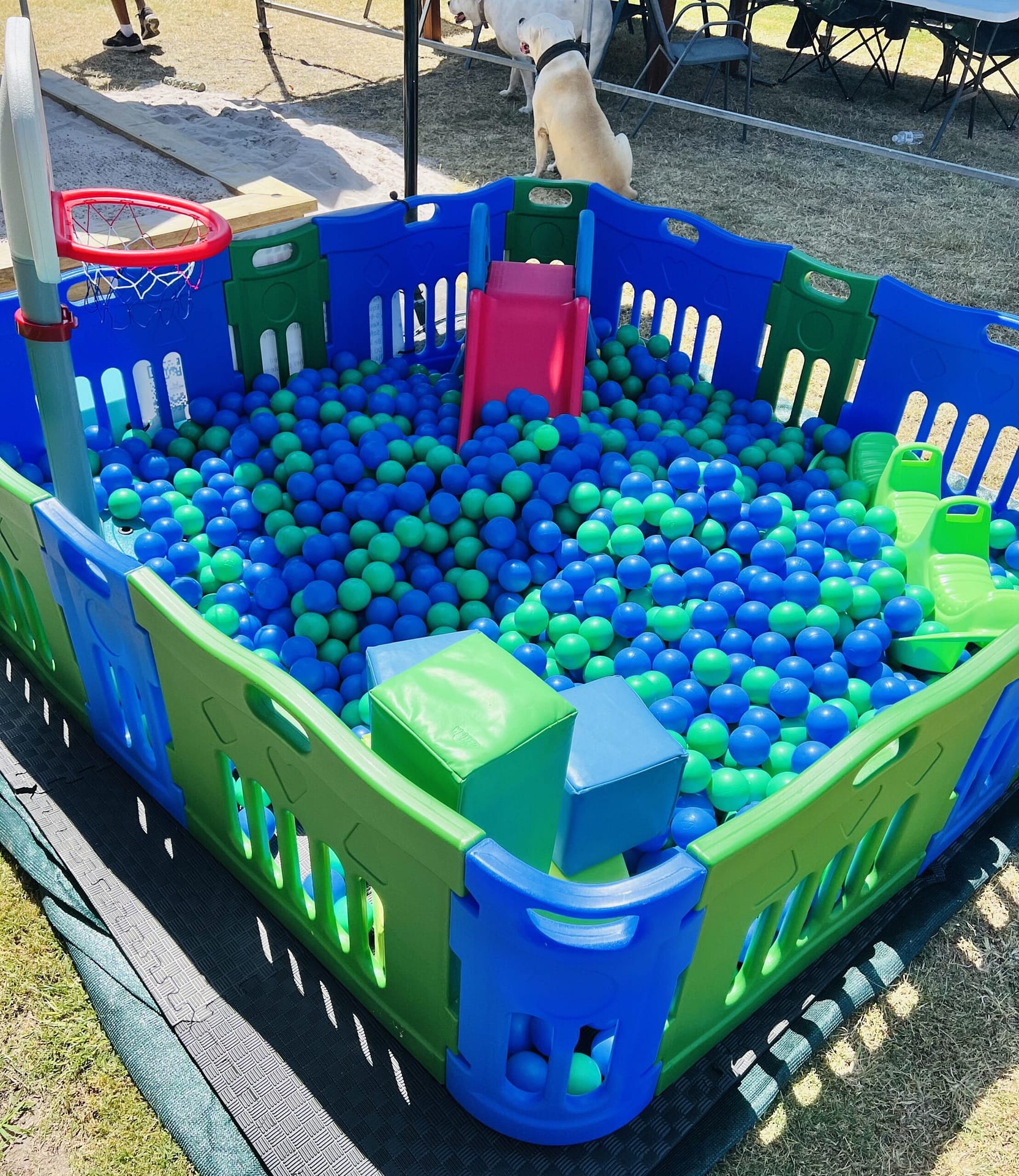 Blue & Green Ball Pit